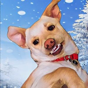 Meet your Posher, Stefanie